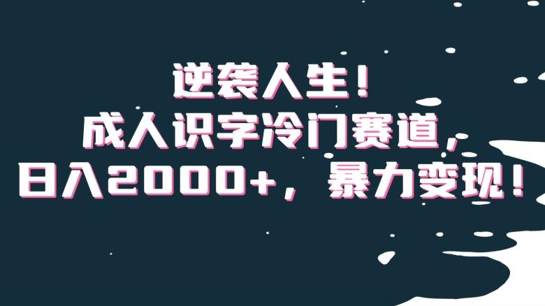 逆袭人生！成人识字冷门赛道，日入2000+，暴力变现！【揭秘】-瀚洪创业网