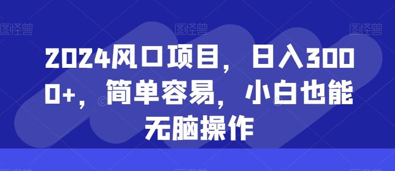 2024风口项目，日入3000+，简单容易，小白也能无脑操作-瀚洪创业网