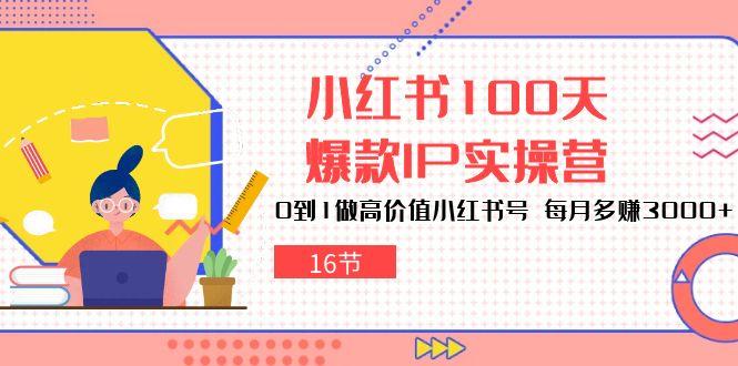 小红书100天-爆款IP实操营，0到1做高价值小红书号 每月多赚3000+(16节-瀚洪创业网