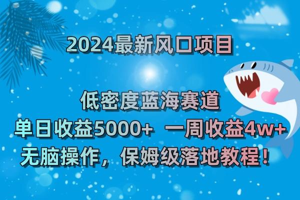 (8545期)2024最新风口项目 低密度蓝海赛道，日收益5000+周收益4w+ 无脑操作，保…-瀚洪创业网