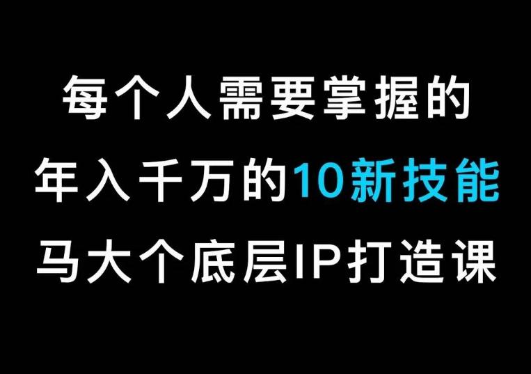 马大个的IP底层逻辑课，​每个人需要掌握的年入千万的10新技能，约会底层IP打造方法！-瀚洪创业网