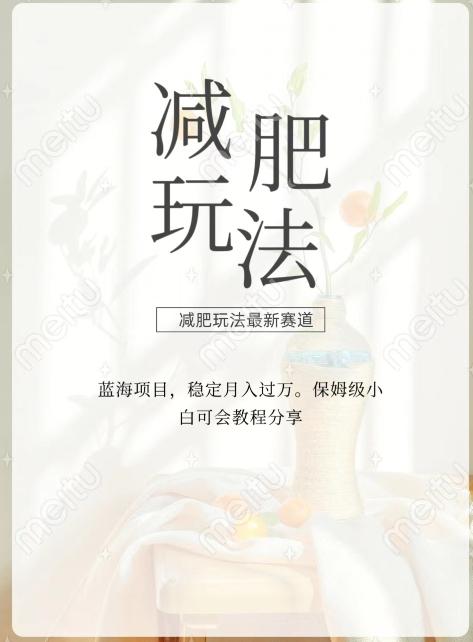 减肥流量主新玩法，轻松月入1W，可矩阵操作收入翻倍-瀚洪创业网