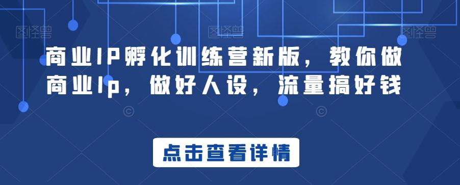 商业IP孵化训练营新版，教你做商业Ip，做好人设，流量搞好钱-瀚洪创业网
