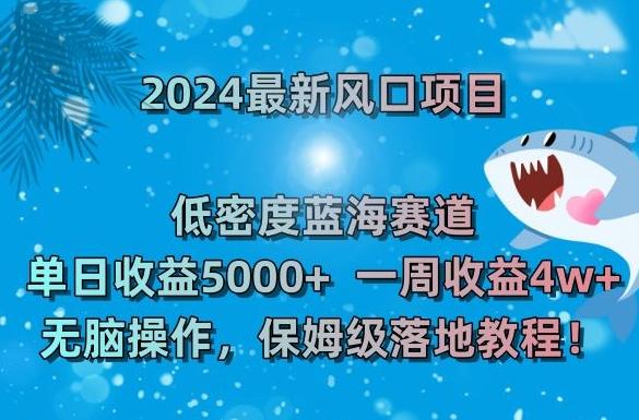 2024最新风口项目，低密度蓝海赛道，单日收益5000+，一周收益4w+！【揭秘】-瀚洪创业网
