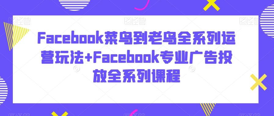 Facebook菜鸟到老鸟全系列运营玩法+Facebook专业广告投放全系列课程-瀚洪创业网