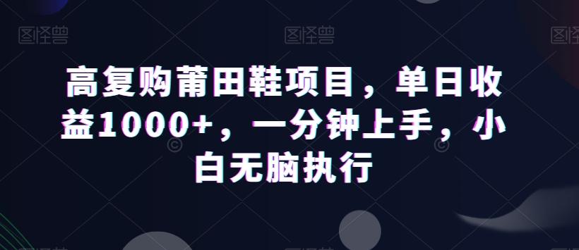 高复购莆田鞋项目，单日收益1000+，一分钟上手，小白无脑执行-瀚洪创业网