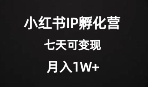 价值2000+的小红书IP孵化营项目，超级大蓝海，七天即可开始变现，稳定月入1W+-瀚洪创业网