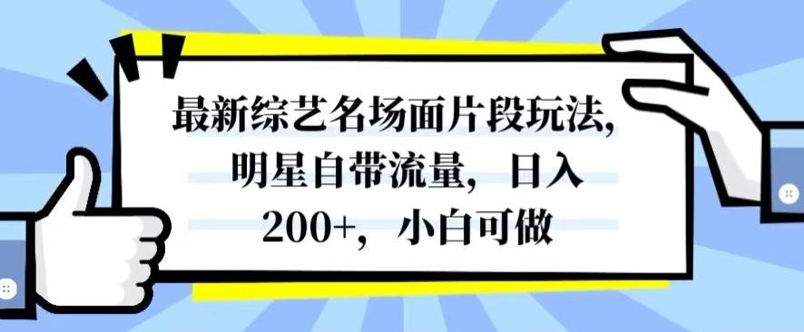 最新综艺名场面片段玩法，明星自带流量，日入200+，小白可做【揭秘】-瀚洪创业网