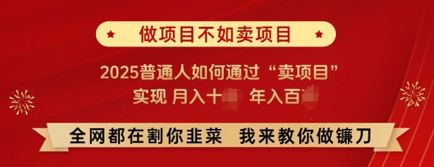 必看，做项目不如卖项目，2025普通人如何通过“卖项目”实现月入十个，年入百个-瀚洪创业网
