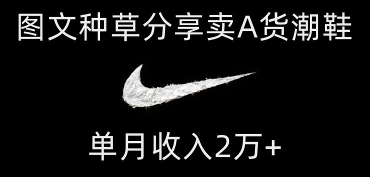 靠图文种草分享卖A货潮鞋，每天一小时，单月收入2万+【揭秘】-瀚洪创业网