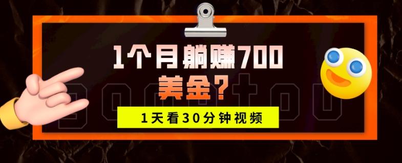 1天看30分钟视频，1个月躺赚700美金？-瀚洪创业网