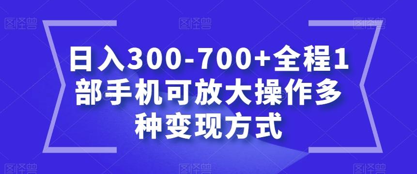 日入300-700+全程1部手机可放大操作多种变现方式【揭秘】-瀚洪创业网