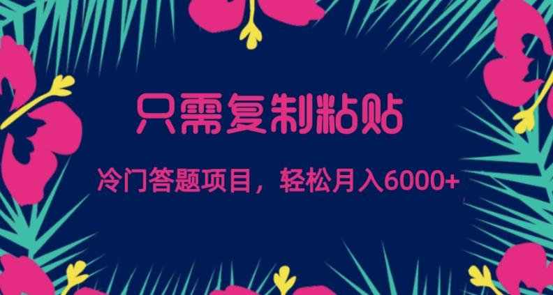 只需复制粘贴，冷门答题项目，轻松月入6000-瀚洪创业网