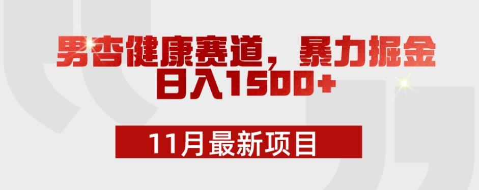 11月最新项目，男杏健康赛道，暴力掘金，日入1500+-瀚洪创业网