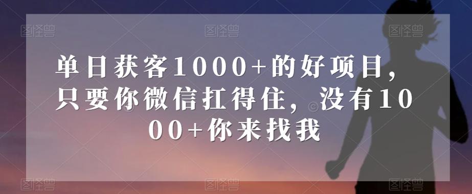 单日获客1000+的好项目，只要你微信扛得住，没有1000+你来找我【揭秘】-瀚洪创业网