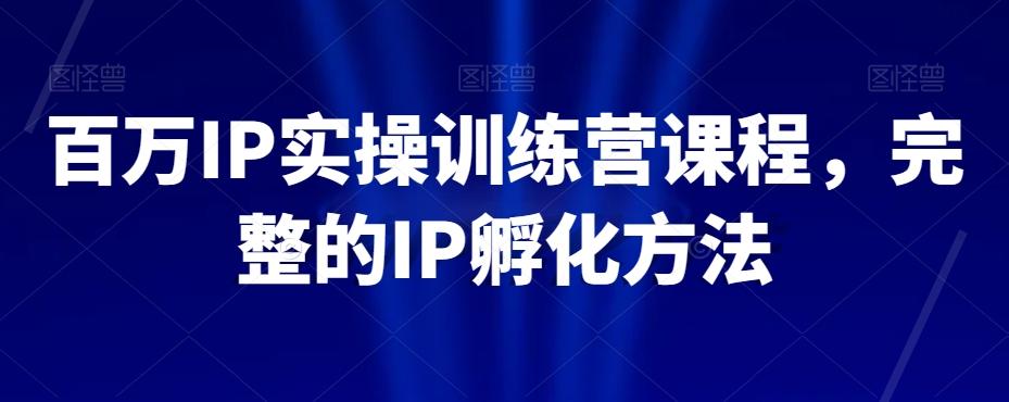 百万IP实操训练营课程，完整的IP孵化方法-瀚洪创业网