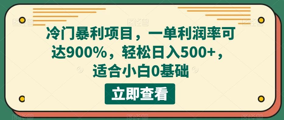 冷门暴利项目，一单利润率可达900%，轻松日入500+，适合小白0基础-瀚洪创业网