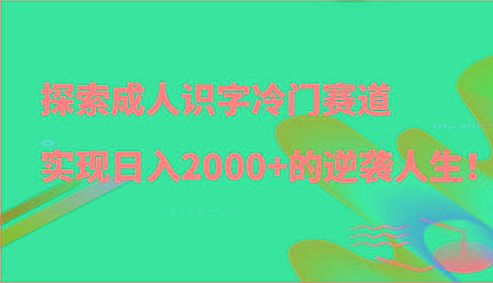 探索成人识字冷门赛道，实现日入2000+的逆袭人生！-瀚洪创业网