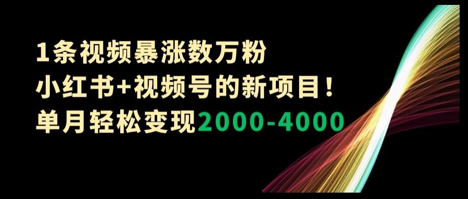 1条视频暴涨数万粉–小红书+视频号的新项目！单月轻松变现2000-4000【揭秘】-瀚洪创业网