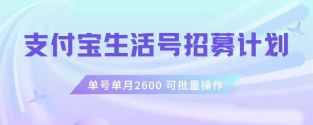 支付宝生活号作者招募计划，单号单月2600，可批量去做，工作室一人一个月轻松1w+【揭秘】-瀚洪创业网