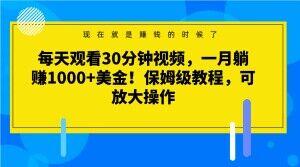 每天观看30分钟视频，一月躺赚1000+美金！保姆级教程，可放大操作【揭秘】-瀚洪创业网
