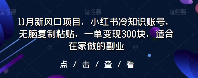 11月新风口项目，小红书冷知识账号，无脑复制粘贴，一单变现300块，适合在家做的副业-瀚洪创业网