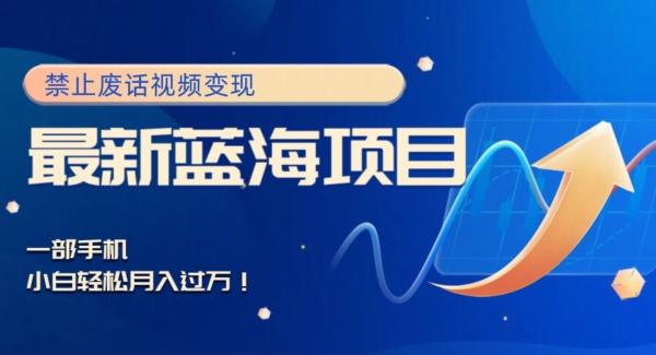 最新蓝海项目，靠禁止废话视频变现，一部手机，小白轻松月入过万！-瀚洪创业网
