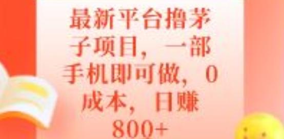 最新平台撸茅子项目，一部手机即可做，0成本，日赚800+-瀚洪创业网