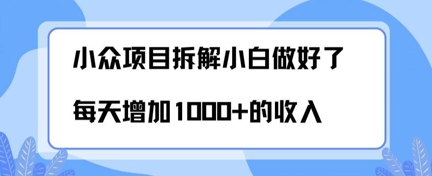 小众项目拆解，小白做好了每天可增加1000多的收入-瀚洪创业网