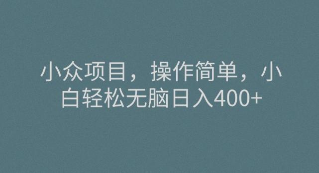 小众项目，操作简单，小白轻松无脑日入400+-瀚洪创业网