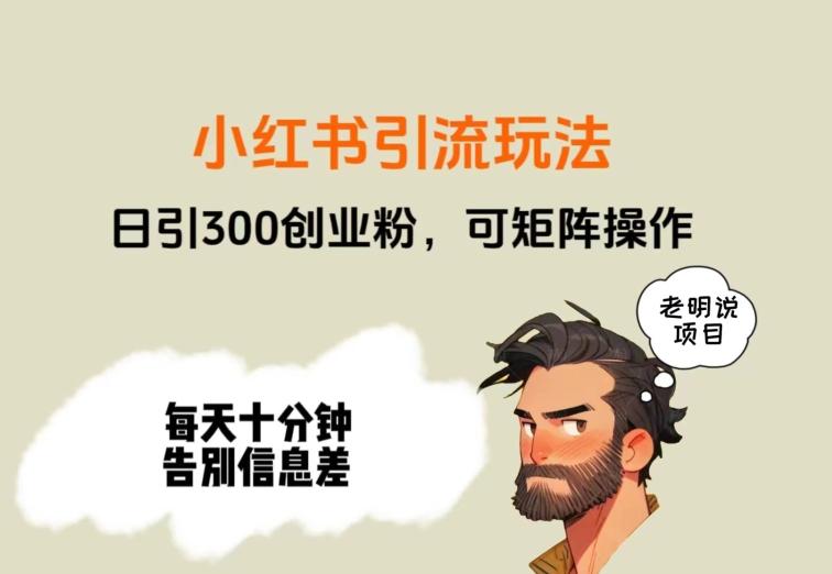 靠小红书视频日印300粉，两分钟一个视频轻松矩阵-瀚洪创业网