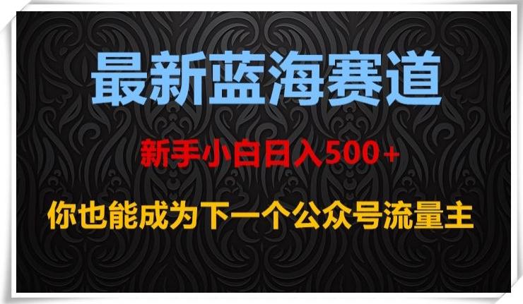 最新蓝海赛道，新手小白日入500+，你也能成为下一个公众号流量主【揭秘】-瀚洪创业网