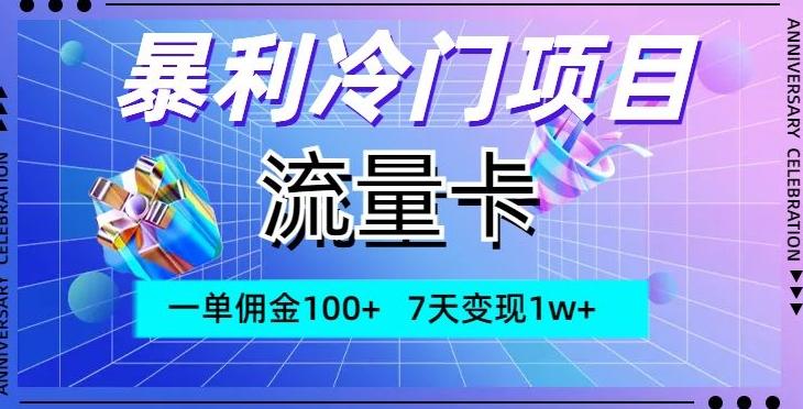 暴利冷门项目，流量卡，一单佣金100+，7天变现1w+-瀚洪创业网