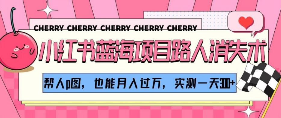 小红书蓝海项目路人消失术，帮人p图，也能月入过万，实测一天300+【揭秘】-瀚洪创业网