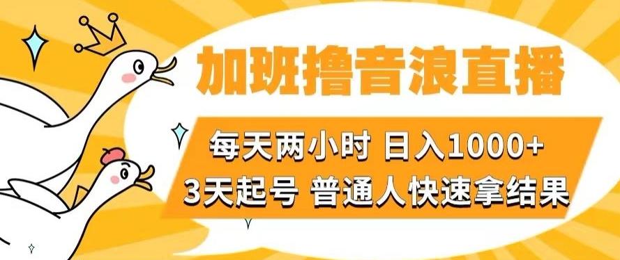 加班撸音浪直播，每天两小时，日入1000+，直播话术才3句，3天起号，普通人快速拿结果【揭秘】-瀚洪创业网