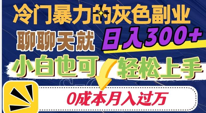 冷门暴利的副业项目，聊聊天就能日入300+，0成本月入过万【揭秘】-瀚洪创业网