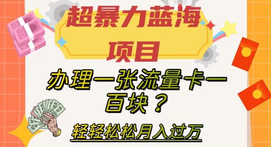 超暴力蓝海项目，办理一张流量卡一百块？轻轻松松月入过万，保姆级教程【揭秘】-瀚洪创业网