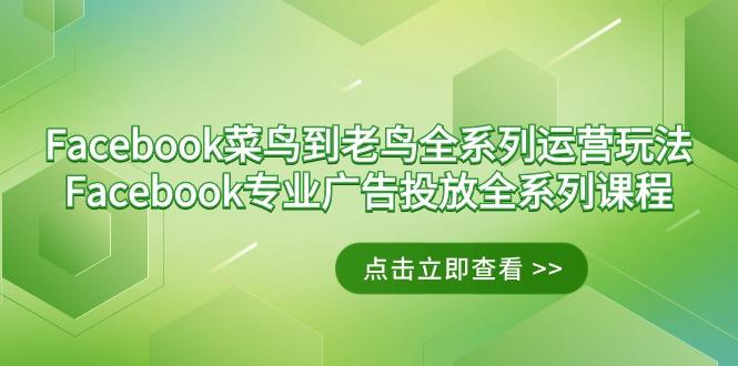 Facebook-菜鸟到老鸟全系列运营玩法+Facebook-专业广告投放全系列课程-瀚洪创业网