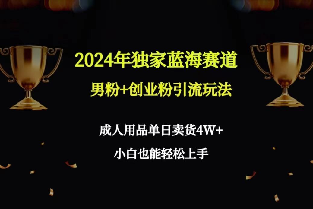 2024年独家蓝海赛道男粉+创业粉引流玩法，成人用品单日卖货4W+保姆教程-瀚洪创业网