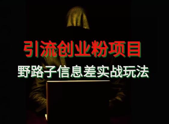 【引流创业粉】野路子信息差玩法实战教学-瀚洪创业网