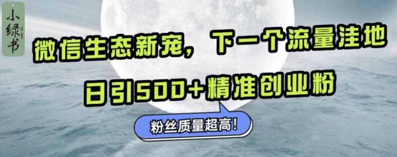 微信生态新宠小绿书：下一个流量洼地，日引500+精准创业粉，粉丝质量超高-瀚洪创业网