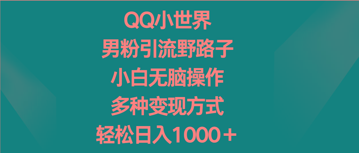 QQ小世界男粉引流野路子，小白无脑操作，多种变现方式轻松日入1000＋-瀚洪创业网