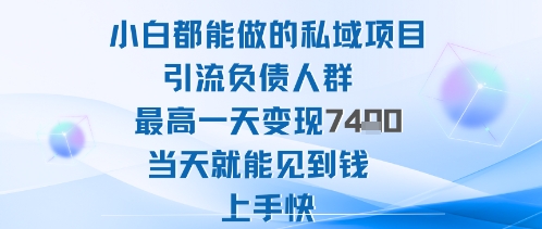 2025年小白都能做的私域项目引流负债人群最高一天变现1k+高变现难度低当天就能见到钱上手快-瀚洪创业网