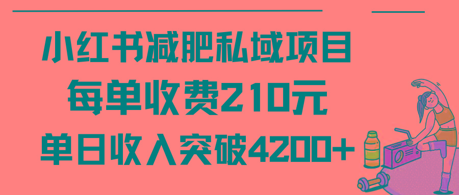 (9466期)小红书减肥私域项目每单收费210元单日成交20单，最高日入4200+-瀚洪创业网