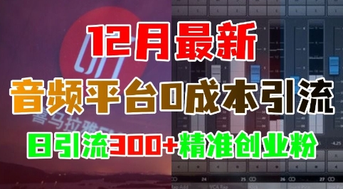 12月最新：音频平台0成本引流，日引流300+精准创业粉-瀚洪创业网