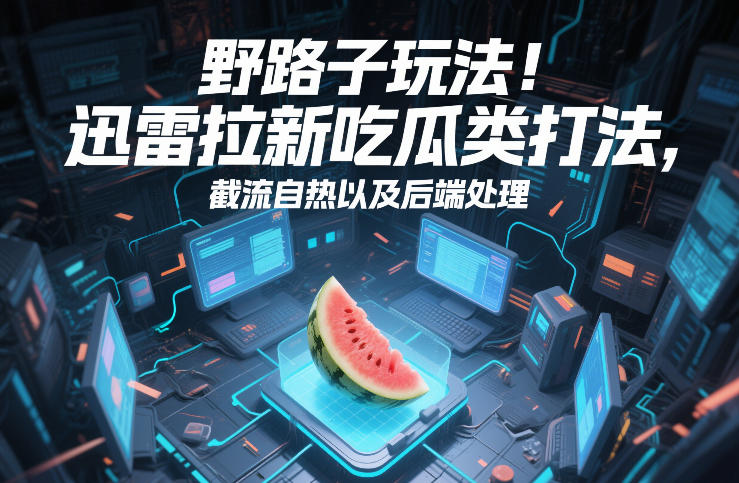 野路子玩法！迅雷拉新吃瓜类打法，截流自热以及后端处理-瀚洪创业网