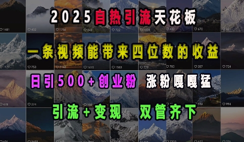 2025自热引流天花板，一条视频能带来四位数的收益，引流+变现双管齐下，日引500+创业粉，涨粉嘎嘎猛-瀚洪创业网