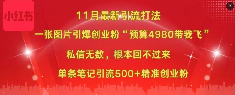 小红书11月最新图片打粉，一张图片引爆创业粉，“预算4980带我飞”，单条引流500+精准创业粉-瀚洪创业网