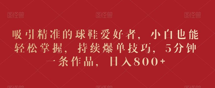 吸引精准的球鞋爱好者，小白也能轻松掌握，持续爆单技巧，5分钟一条作品，日入800+【揭秘】-瀚洪创业网