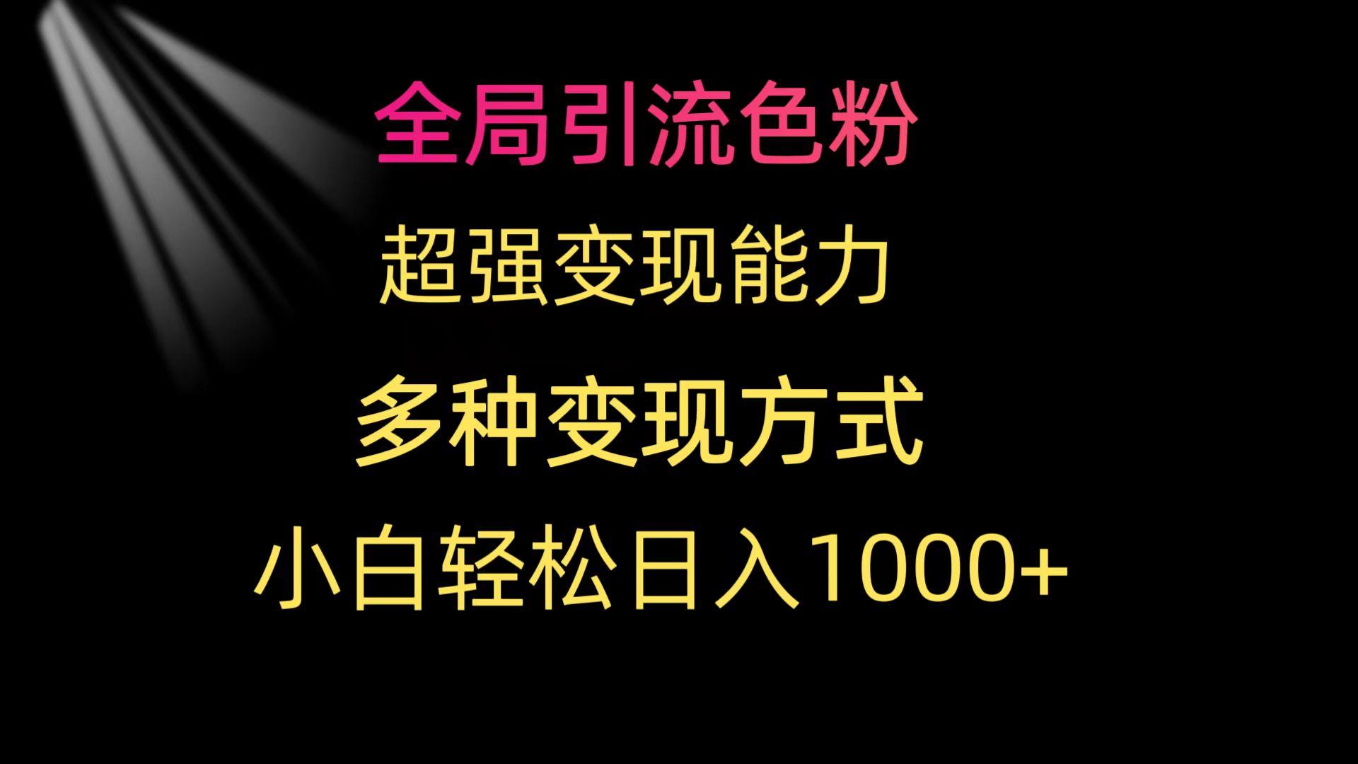 (9680期)全局引流色粉 超强变现能力 多种变现方式 小白轻松日入1000+-瀚洪创业网
